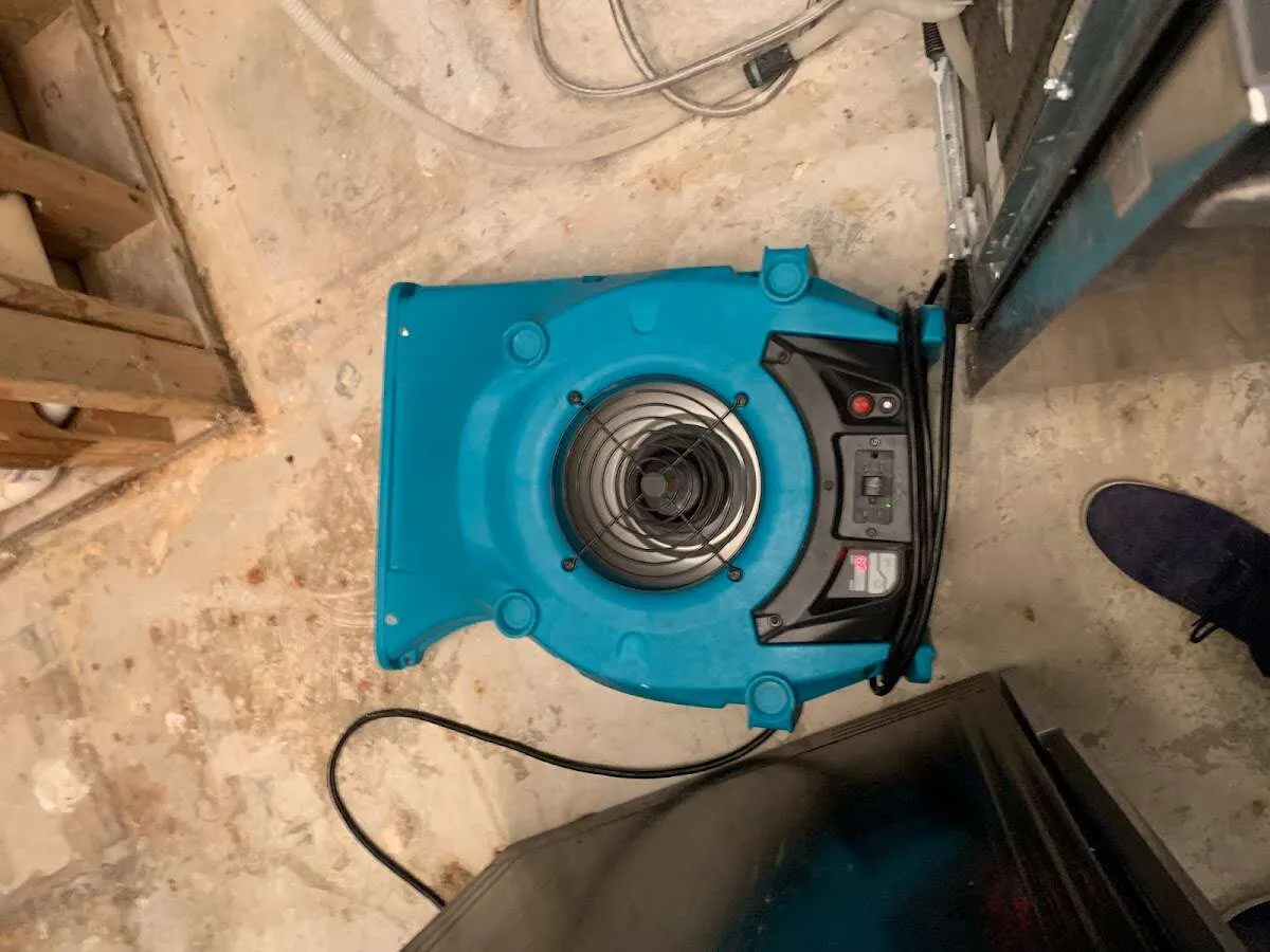 Air mover drying equipment for Mold Remediation & Removal in Moss Point