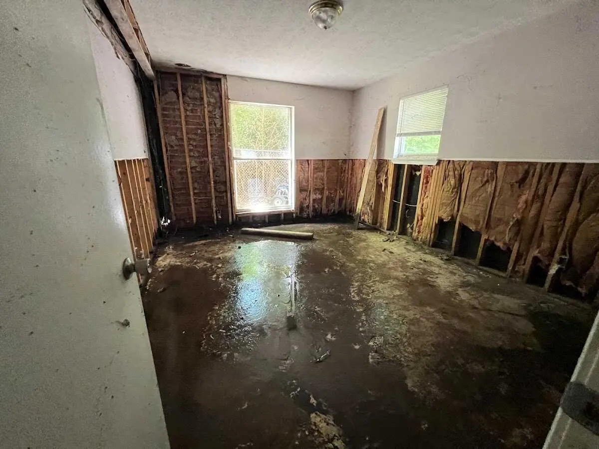 Flood Damage Cleanup in Moss Point, MS